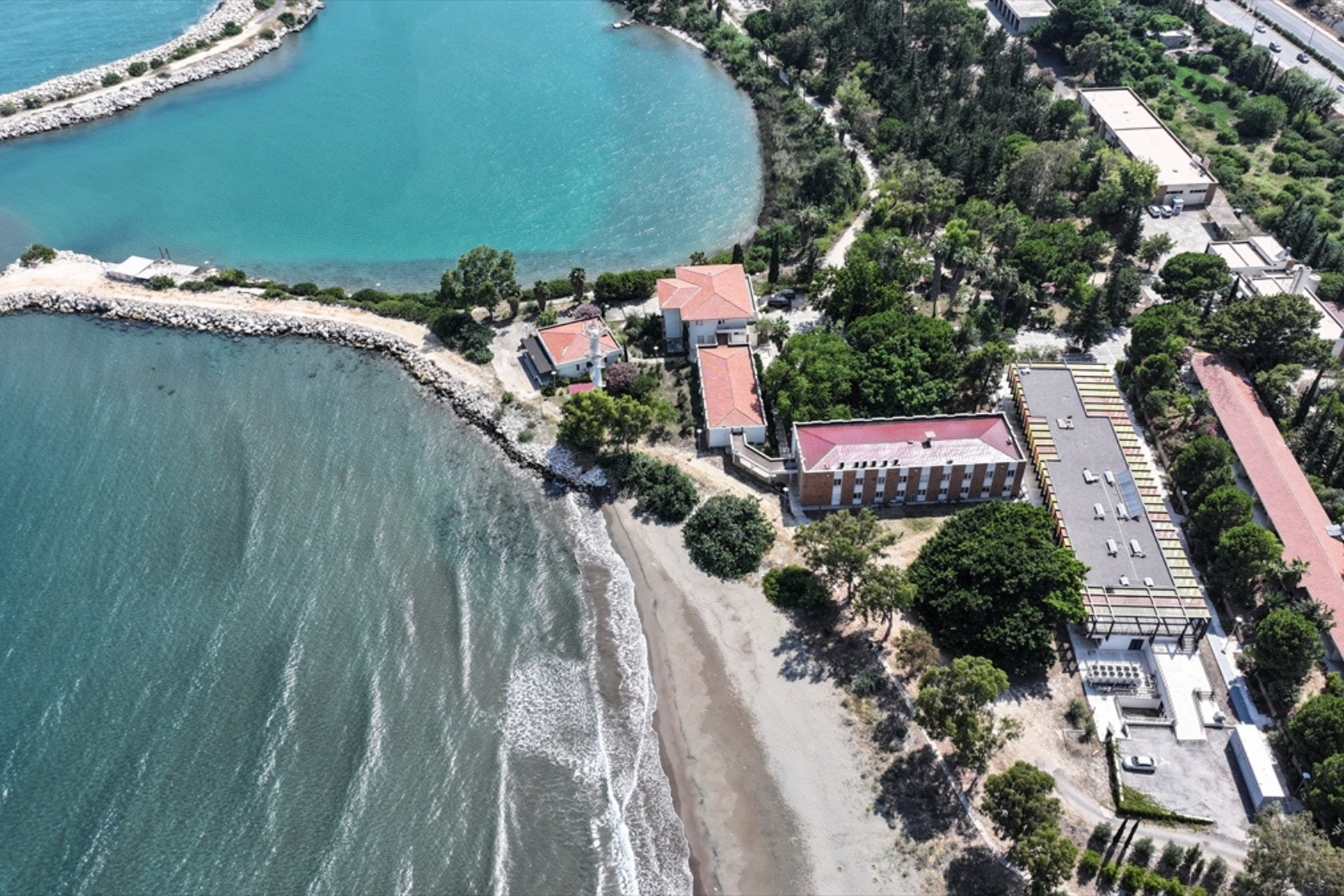 Mersin’in Erdemli ilçesindeki ODTÜ sahilinde kaplumbağa hassasiyeti Haber gorseli
