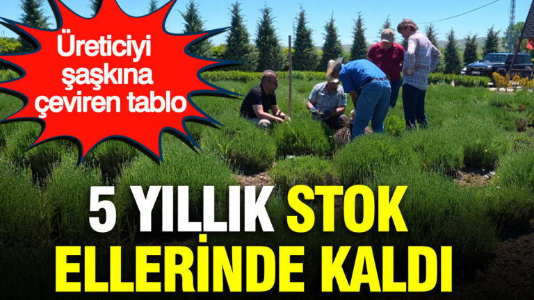 haber-gorseli-1787054783916