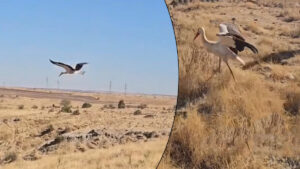 haber-gorseli-1789253286002